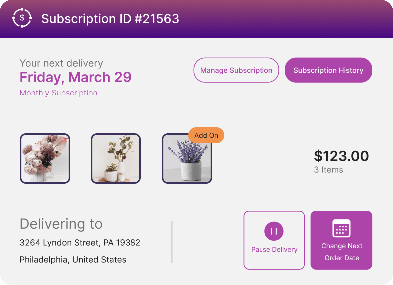 Subscription options interface showing different pricing tiers